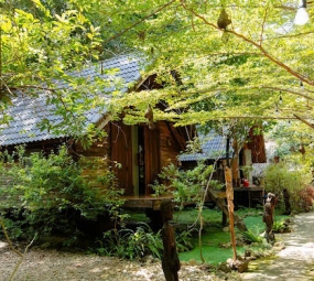 Homestay