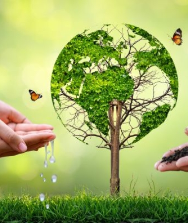 Chính Sách An Toàn & Bảo Vệ Môi Trường